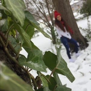 Meet your Posher, Nancy